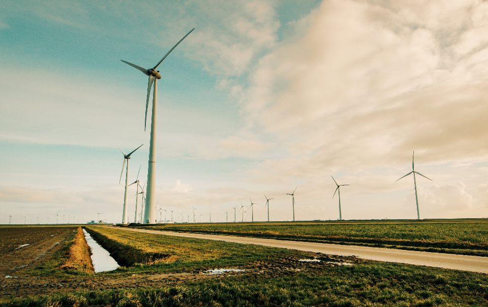 Windräder auf einem Feld unter bewölktem Himmel zum Thema Nachhaltigkeitsbericht