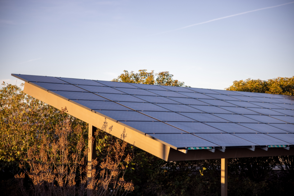 Solarmodule unter blauem Himmel zum Thema Photovoltaik